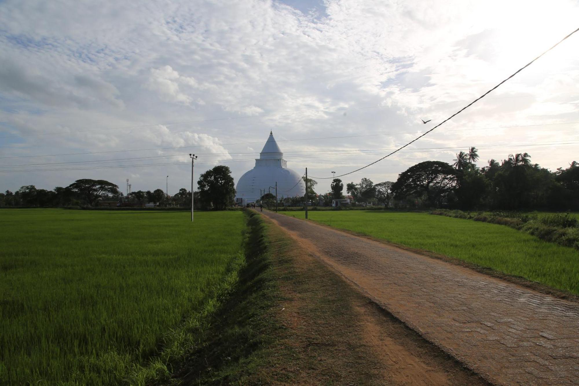 The Yala City Guest House Tissamaharama Exterior foto