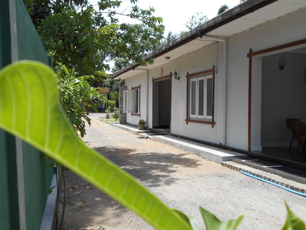 The Yala City Guest House Tissamaharama Exterior foto