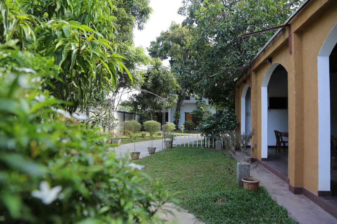 The Yala City Guest House Tissamaharama Exterior foto