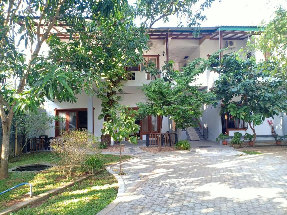 The Yala City Guest House Tissamaharama Exterior foto